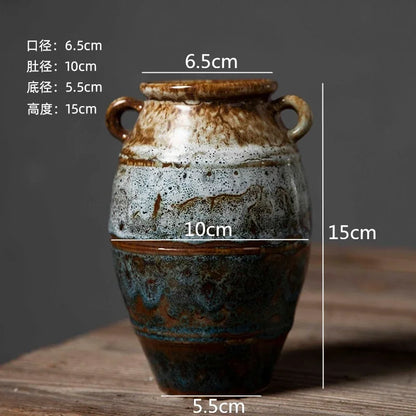 Vaso Cerâmico Hidropônico Retro NOXHome