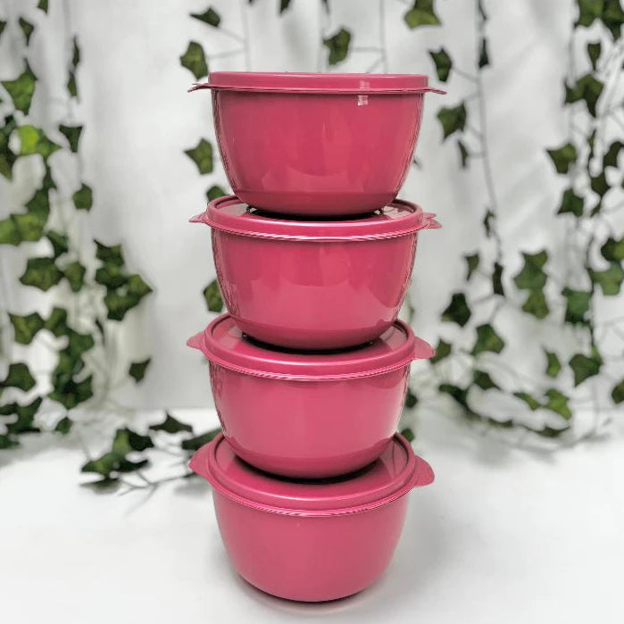 Kit Potes Plásticos para Alimentos NOXHome | Com Alças Empilháveis 1L – Kit 12 Peças