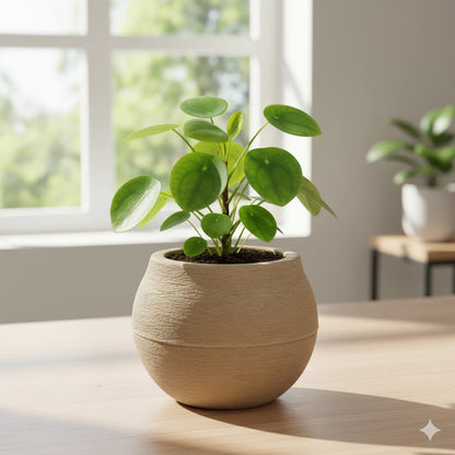 Vaso Decorativo Esfera NOXHome | Polietileno Reciclável Moderno – Interno e Externo
