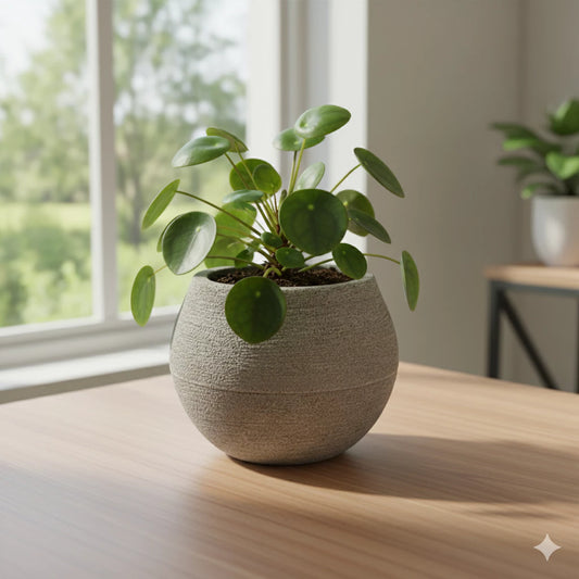 Vaso Decorativo Esfera NOXHome | Polietileno Reciclável Moderno – Interno e Externo